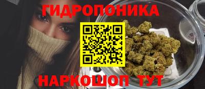 гидра Новокубанск