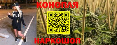 гидра Новокубанск
