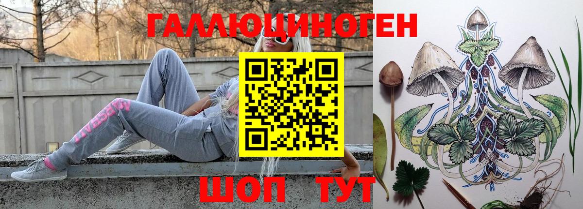 Черкесск  Псилоцибиновые грибы Cubensis  Вход с VPN 