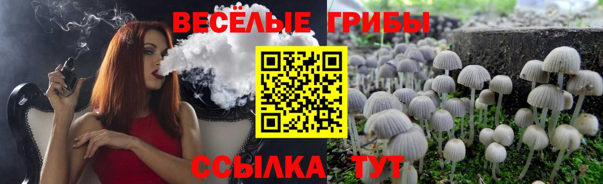 Псилоцибиновые грибы Psilocybe Черкесск